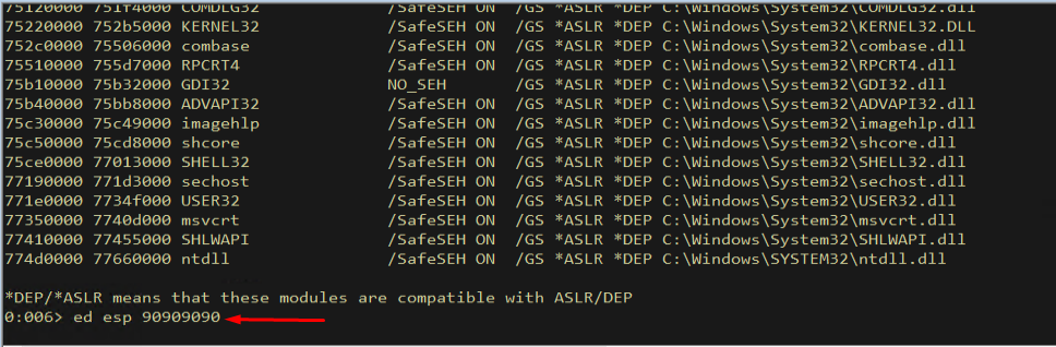 Writing NOPs to the stack
