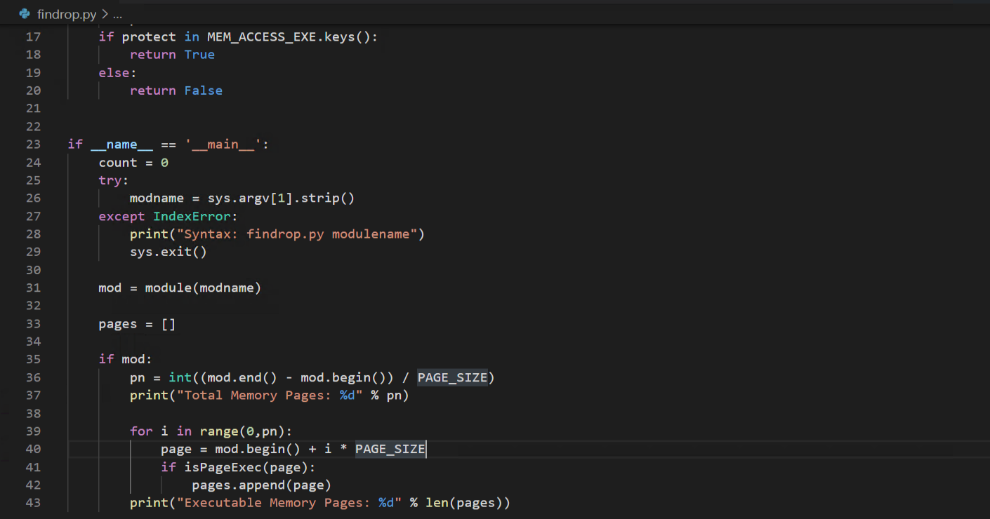 Executable page filtering script