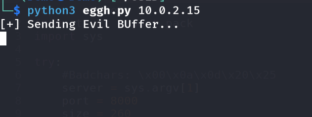 Running the exploit to hit the breakpoint