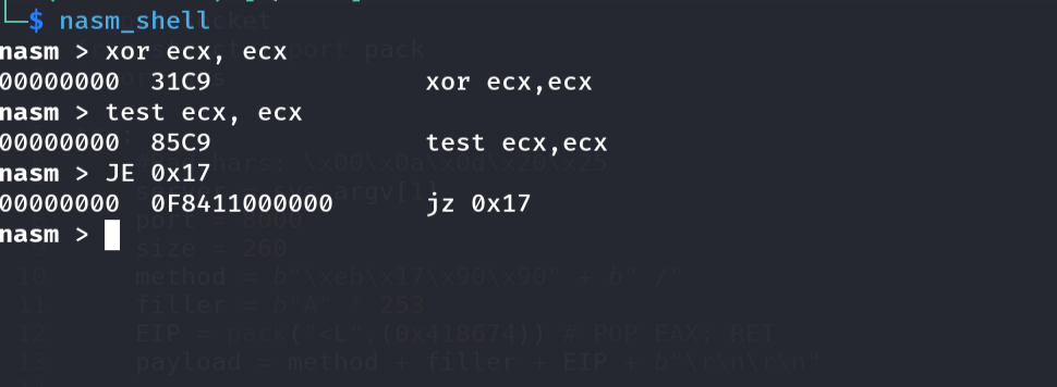 nasm_shell - XOR/TEST/JE opcodes; JE rel32 contains four null bytes