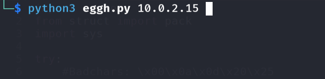 Running the conditional jump exploit