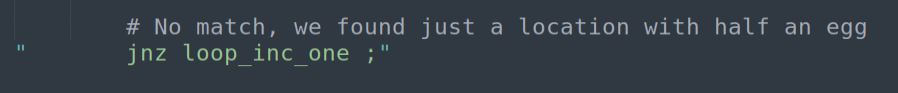 JNZ loop_inc_one - second-half mismatch; advance one byte
